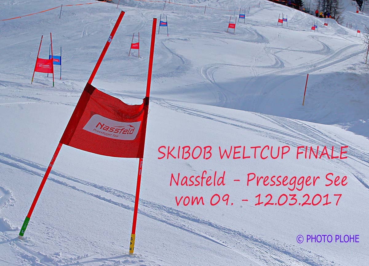  PHOTO PLOHE 0941 Skibob Weltcup Finale Nassfeld Slalom